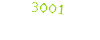 3001