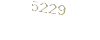 5229