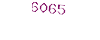 6065