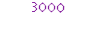 3000