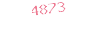 4873