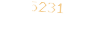 5231