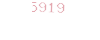 5919