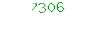 7306