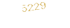 5229