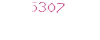 5307