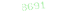8691