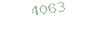 4063